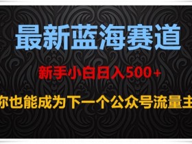 最新蓝海赛道，新手小白日入500+，你也能成为下一个公众号流量主【揭秘】