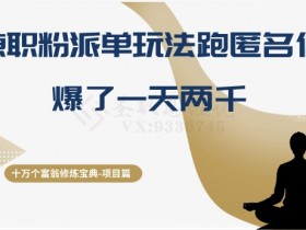 十万个富翁修炼宝典之6.兼职粉派单玩法跑匿名信，爆了一天两千