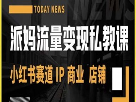 派妈流量变现私教课，小红书赛道IP  商业  店铺 