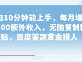 小白10分钟能上手，每月增加6000额外收入，无脑复制粘贴‌，百度答题赏金猎人【揭秘】
