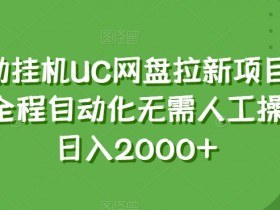 全自动自动运行UC网盘拉新项目新玩法，全程自动化无需人工操控，日入2000+【揭秘】