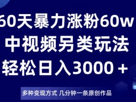 60天暴力涨粉60W，中视频另类玩法，日入3000＋，几分钟一条原创作品多种变现方式