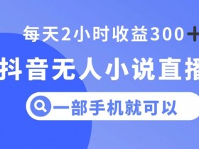 抖音无人小说直播，一部手机操作，日入300+【揭秘】