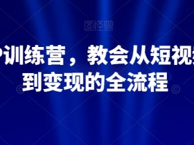 21天IP训练营，教会从短视频制作到变现的全流程