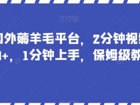 最新国外薅羊毛平台，2分钟视频收益50+，1分钟上手，保姆级教程【揭秘】