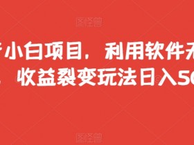 抖音小白项目，利用软件无脑搬运，收益裂变玩法日入500+【揭秘】