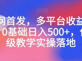 全网首发，多平台收益项目，0基础日入500+，保姆级教学实操落地【揭秘】