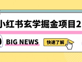 小红书玄学掘金项目，值得常驻的蓝海项目，日入3000+附带引流方法以及渠道【揭秘】