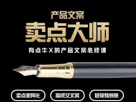 产品文案【卖点大师】高转化电商，有点牛X的产品文案必修课