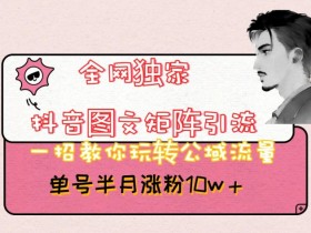 全网独家抖音图文矩阵引流，一招教你玩转公域流量，单号半月涨粉10w+【揭秘】