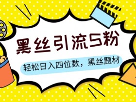 S粉变现，轻松日入四位数，黑丝题材+情感话术【揭秘】