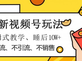 最新视频号玩法，不销售、不引流、不推广，躺着月入1W+，保姆式教学，小白轻松上手【揭秘】