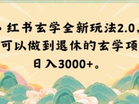 小红书玄学全新玩法2.0，一个可以做到退休的玄学项目，日入3000+【揭秘】