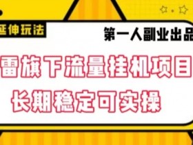 迅雷旗下流量自动运行项目，长期稳定可实操【揭秘】