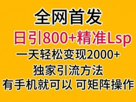 全网首发！日引800+精准老色批，一天变现2000+，独家引流方法，可矩阵操作【揭秘】