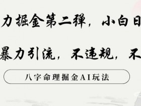 玄学暴力掘金第二弹，小白日入500+，抖音暴力引流，不违规，术封号，八字命理掘金AI玩法【揭秘】