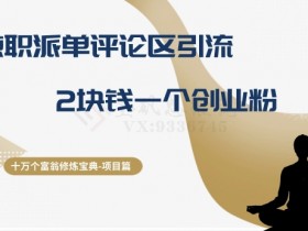 十万个富翁修炼宝典之11.兼职派单评论区引流，2块钱一个创业粉
