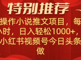 无脑操作【小说推文项目】，兼职每天两小时，日入轻松1000+，抖音快手视频号小红湖中视频都可做【揭秘】