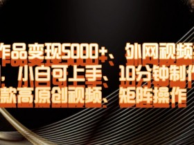 单条作品变现5000+、外网视频搬运二创，小白可上手，10分钟制作爆款高原创视频，矩阵操作【揭秘】