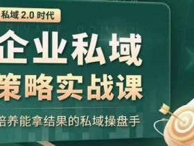 私域2.0时代：企业私域策略实战课，培养能拿结果的私域操盘手