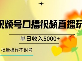视频号囗播视频直播玩法，单日收入5000+，批量操作不封号【揭秘】