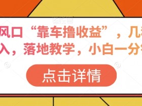 抖音新风口“靠车撸收益”，几秒视频过W收入，落地教学，小白一分钟上手【揭秘】