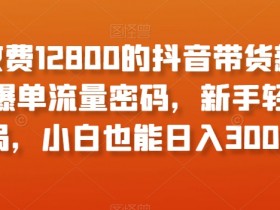 外面收费12800的抖音带货新奇玩法，爆单流量密码，新手轻松入局，小白也能日入300+【揭秘】