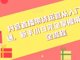 抖音直播带货运营从入门到精通，新手小白完全掌握带货直播全流程
