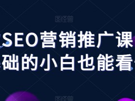 谷歌SEO营销推广课，零基础的小白也能看懂