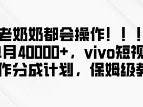老奶奶都会操作，新平台无脑操作，单月40000+，vivo短视频创作分成计划【揭秘】