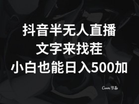 抖音半无人直播，文字来找茬小游戏，每天收益500+【揭秘】