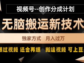 视频号无脑搬运新技术，破原创壕流量，独家方式，爆过视频，还会再爆【揭秘】