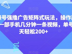 视频号强撸广告矩阵式玩法，操作简单，一部手机几分钟一条视频，单号一天轻松200+【揭秘】
