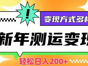 新年运势测试变现，日入200+，几分钟一条作品，变现方式多样化【揭秘】