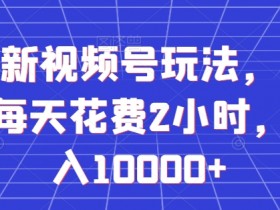 全网最新视频号玩法，正能量赛道，每天花费2小时，躺着月入10000+【揭秘】