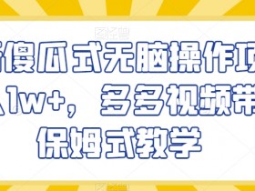 最新傻瓜式无脑操作项目月入1w+，多多视频带货保姆式教学【揭秘】