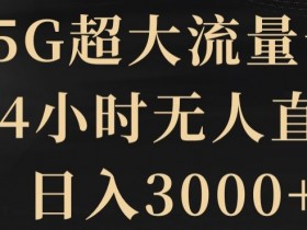 5G超大流量卡，24小时无人直播，日入3000+【揭秘】