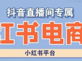小红书电商高级运营课程，实操教学+案例分析
