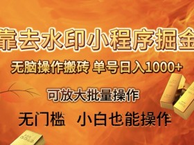 靠去水印小程序无脑操作搬砖，单号日入1000+保姆级教程可放大批量操作【揭秘】