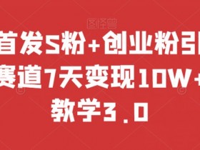 全网首发S粉+创业粉引流，成人赛道7天变现10W+保姆教学3.0【揭秘】