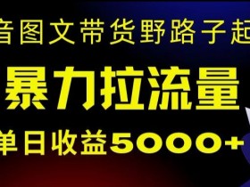 抖音图文带货暴力起号，单日收益5000+，野路子玩法，简单易上手，一部手机即可【揭秘】