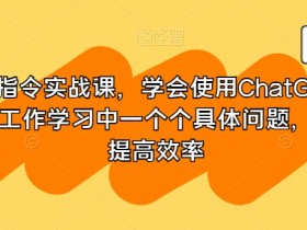 GPT指令实战课，学会使用ChatGPT，解决工作学习中一个个具体问题，真正提高效率