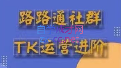 路路通·跨境TikTok全套课程（更新31期）