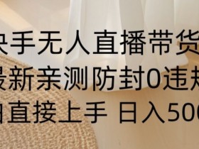 快手无人直播带货从0-1落地教学，最新防封0粉开播，小白可上手日入500+【揭秘】