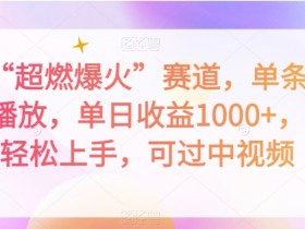 抖音“超燃爆火”赛道，单条作品千万播放，单日收益1000+，小白轻松上手，可过中视频【揭秘】