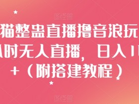 汤姆猫整蛊直播撸音浪玩法！24小时无人直播，日入1000+（附搭建教程）【揭秘】