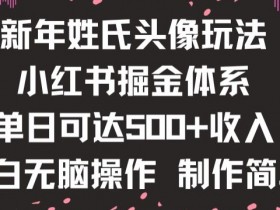 新年姓氏头像新玩法，小红书0-1搭建暴力掘金体系，小白日入500零花钱【揭秘】