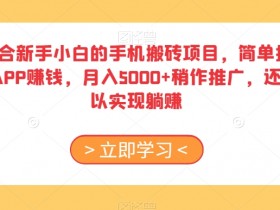 适合新手小白的手机搬砖项目，简单搜素APP赚钱，月入5000+稍作推广，还可以实现躺赚【揭秘】