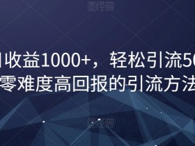 单日收益1000+，轻松引流500，零难度高回报的引流方法【揭秘】