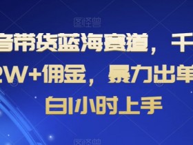 抖音带货蓝海赛道，千粉账号2W+佣金，暴力出单，小白1小时上手【揭秘】